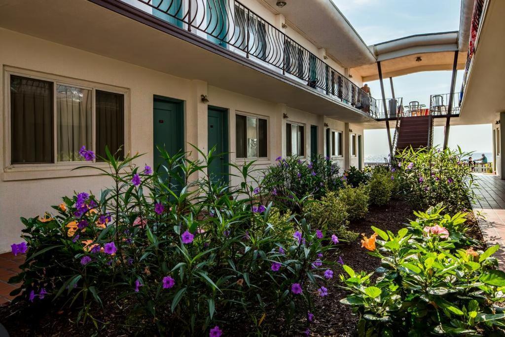 Beach Plaza Apartments Ocean City Exterior foto